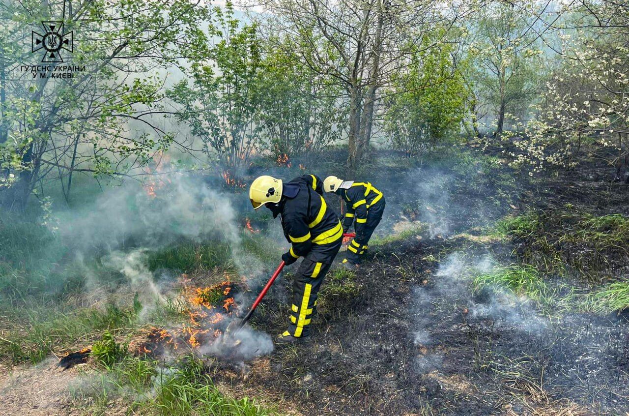 Огромный вред для экологии и человека: в ГСЧС привели ужасающую статистику пожаров в экосистемах. Фото