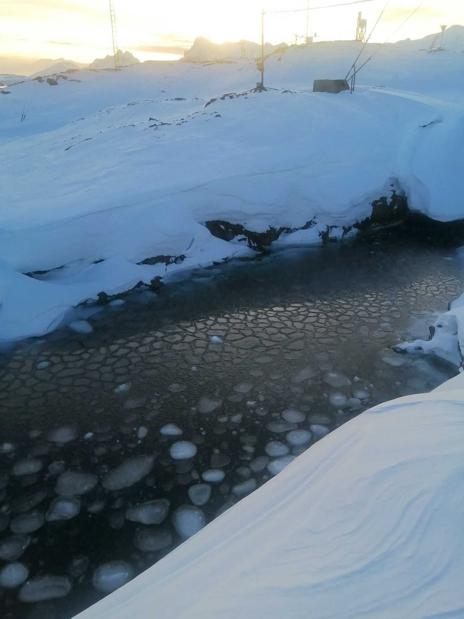 "Млинцевий лід": українські полярники в Антарктиці показали вражаюче явище. Фото 