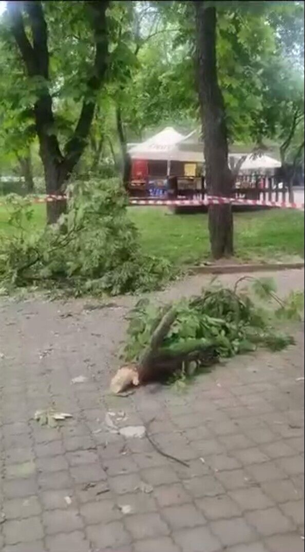 Кличко показал последствия падения обломков ракеты в Киевском зоопарке Видео