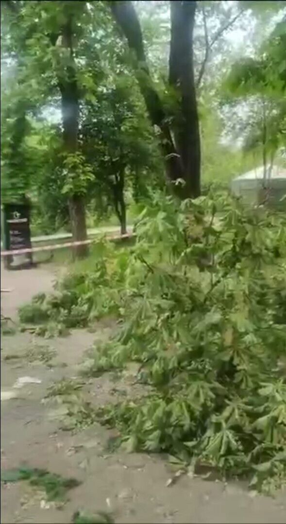Кличко показал последствия падения обломков ракеты в Киевском зоопарке Видео