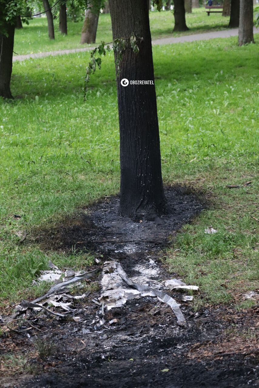 Сломанные ветки деревьев и выжженная трава: последствия падения обломков сбитых над Киевом ракет. Фоторепортаж
