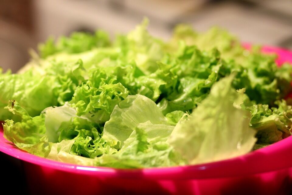 Як продовжити термін зберігання листя салату