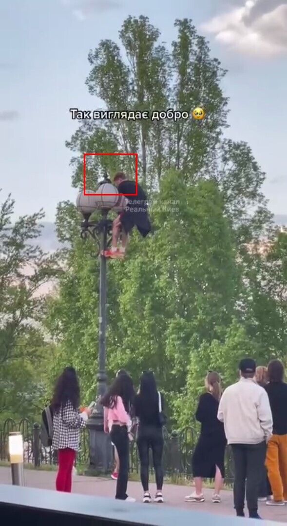 У Києві підліток виліз на ліхтар, щоб врятувати голуба. Відео