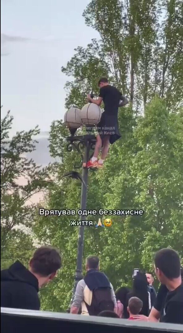 В Киеве подросток вылез на фонарь, чтобы спасти голубя. Видео
