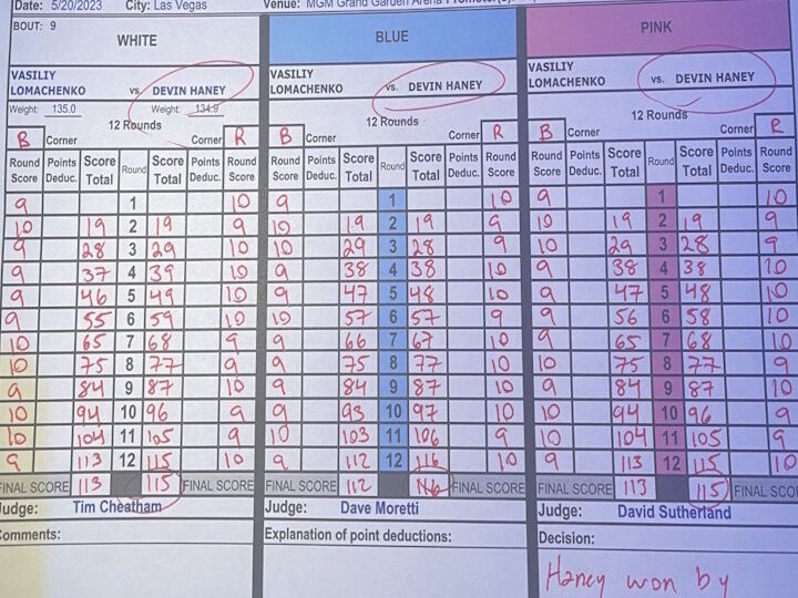 "Немає пограбування": глава WBC підбив невтішний для Ломаченка підсумок бою з Хейні