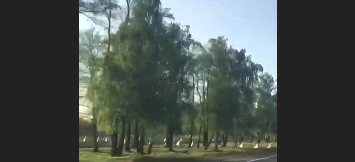 У Білорусі "зуби дракона" встановили за 20 км від кордону з Україною: зʼявилося відео