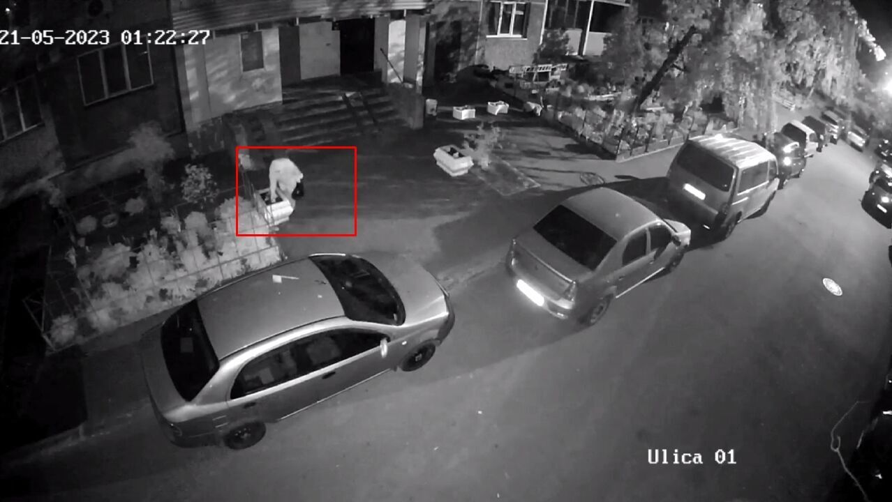 В Киеве камера зафиксировала нарушительницу комендантского часа, которая воровала высаженные у подъезда цветы. Видео