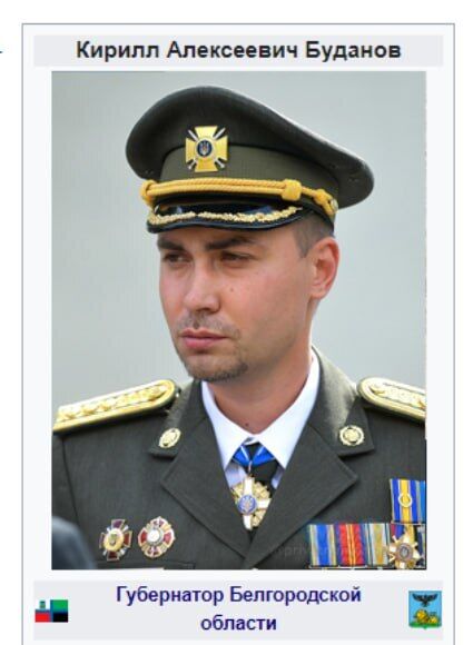 Губернатор Белгородской области Кирилл Буданов