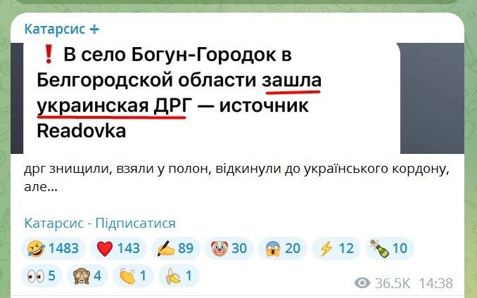 "БНР" – це квіточки, вся Росія скоро буде у вогні": до чого призвела атака одного загону "диверсантів"
