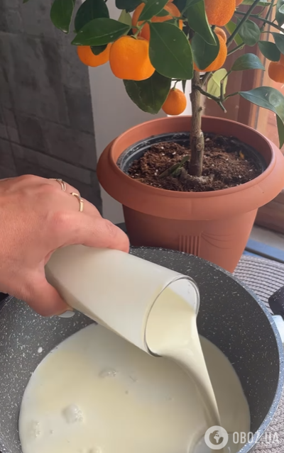 Легка панна-котта з полуницею: як приготувати ефектний сезонний десерт 
