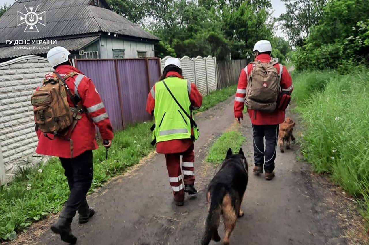 Була на подвір'ї, а потім зникла: на Харківщині тривають пошуки 2-річної дівчинки, залучено десятки рятувальників. Фото