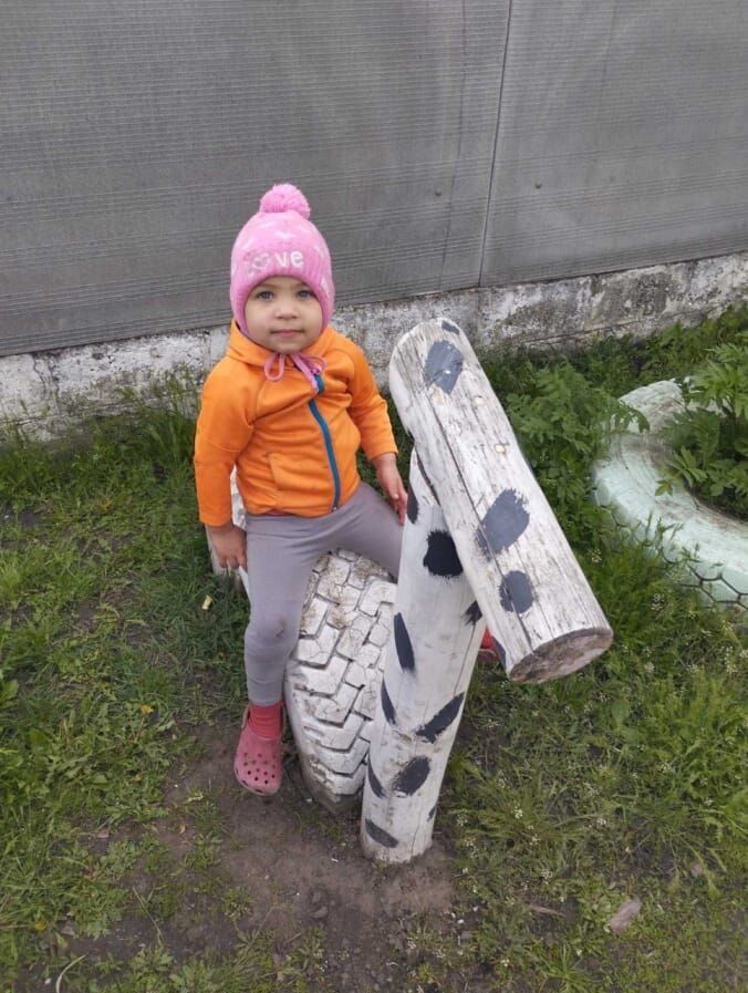 Була на подвір'ї, а потім зникла: на Харківщині тривають пошуки 2-річної дівчинки, залучено десятки рятувальників. Фото 
