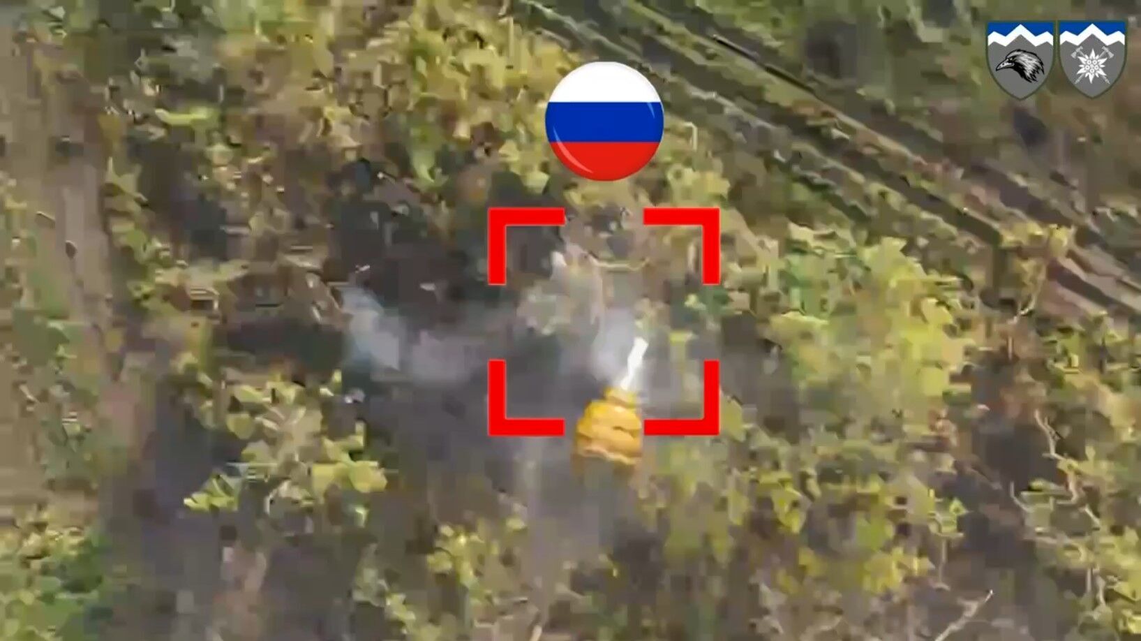 Українські захисники успішно полюють на окупанта: показове відео