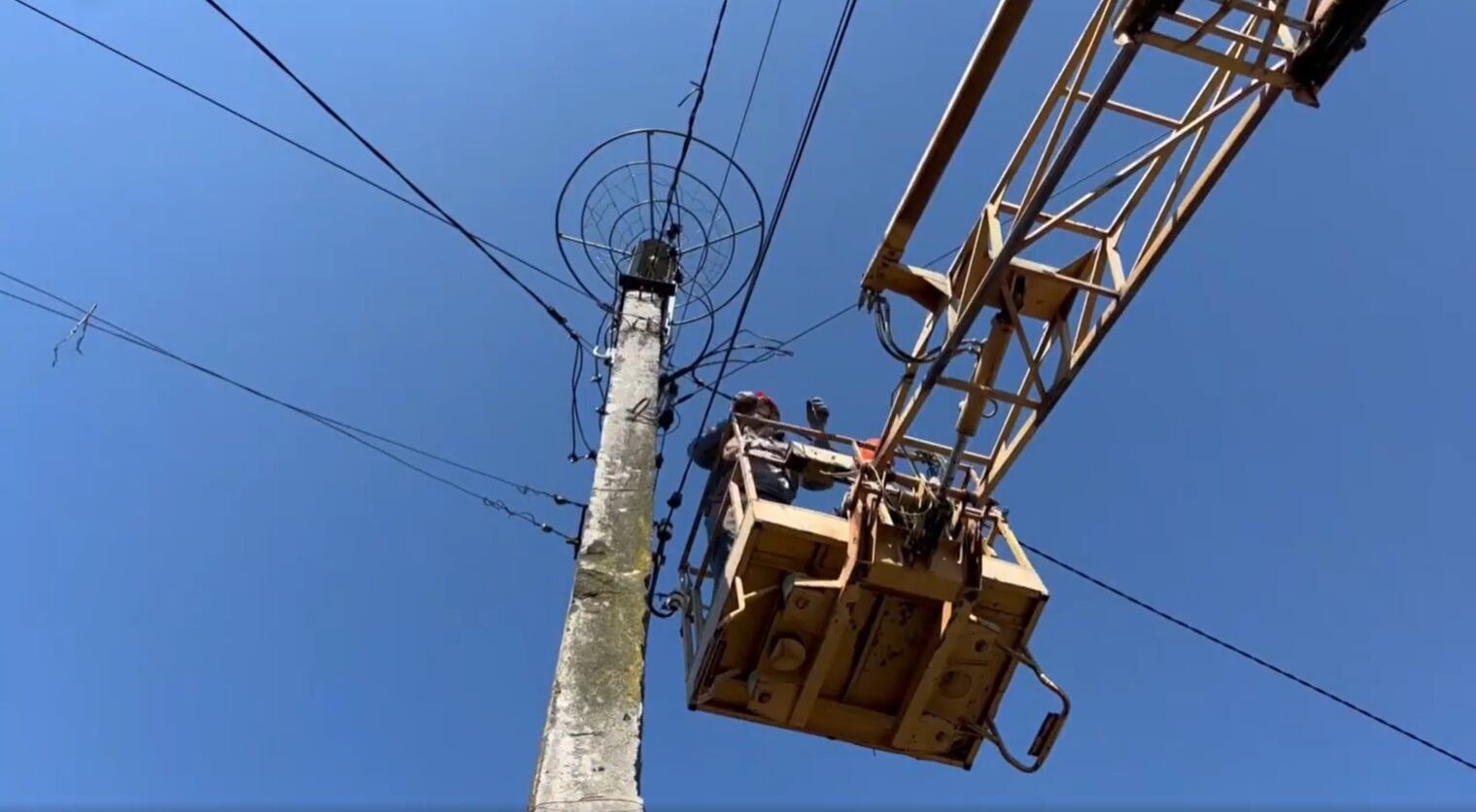  У Києві енергетики облаштували нове гніздо для лелек на електроопорі замість пошкодженого негодою. Відео