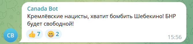 "Авіація розбереться": депутат Держдуми РФ закликав бомбити Бєлгородську область керованими авіабомбами. Відео