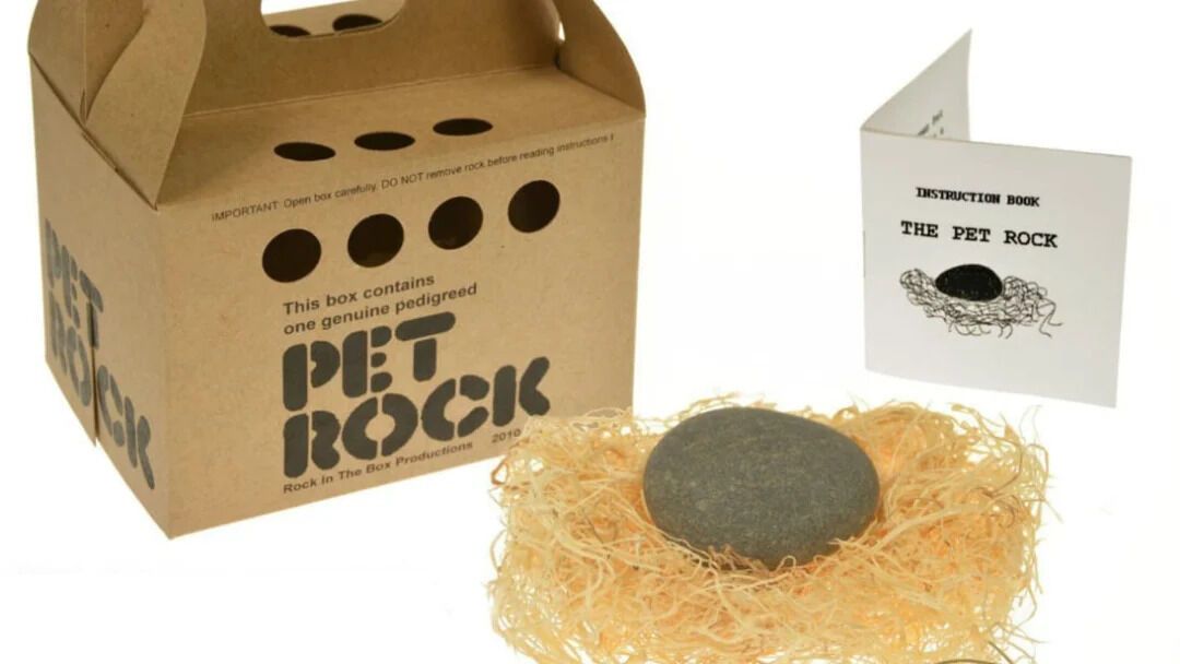 Коробка "Pet Rock"