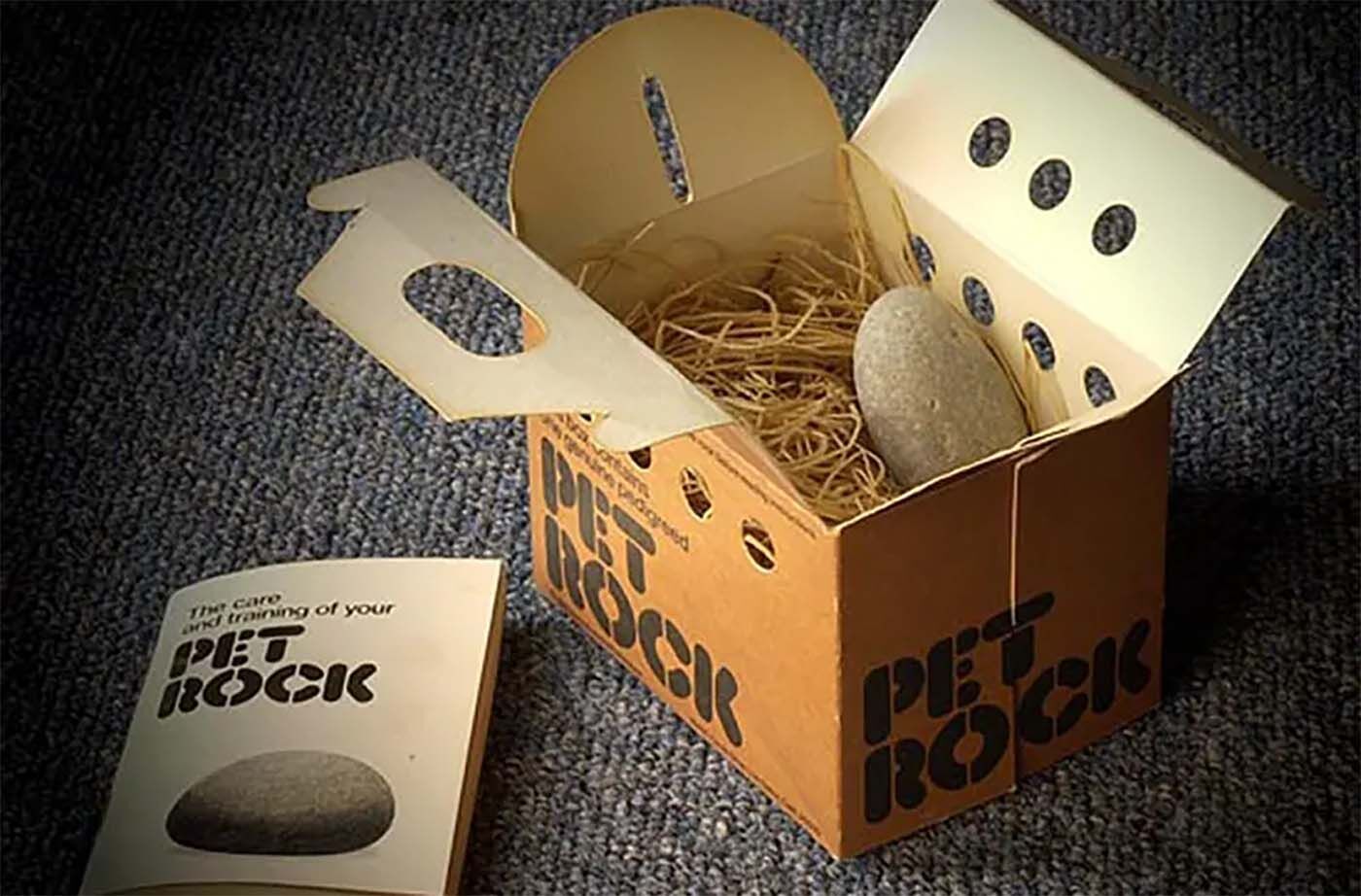 Даль не смог повторить успех Pet Rock, но никогда больше не был бедняком