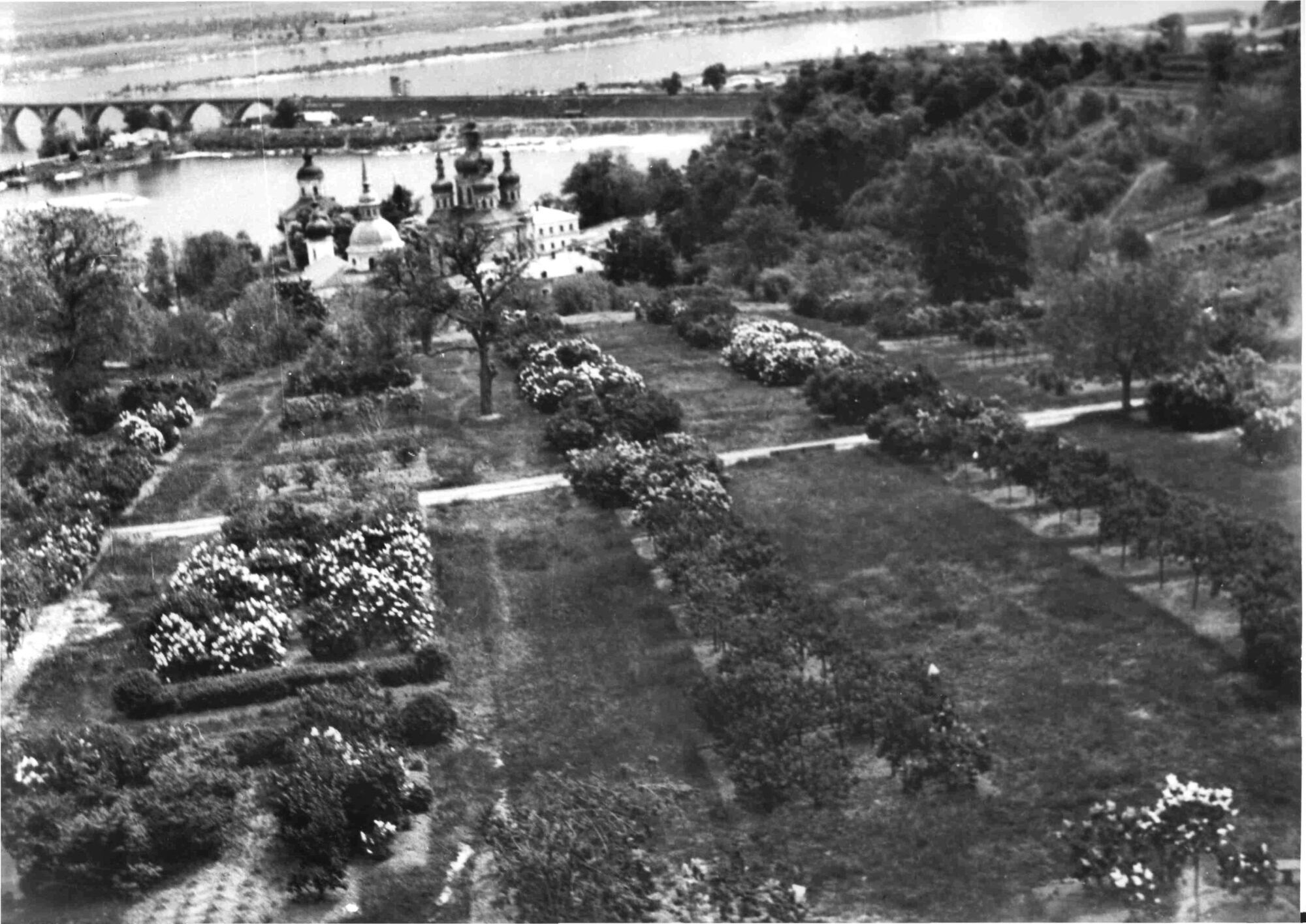 В сети показали, как выглядел известный киевский Сад сирени в ботсаду Гришко в 1950-х годах. Архивное фото