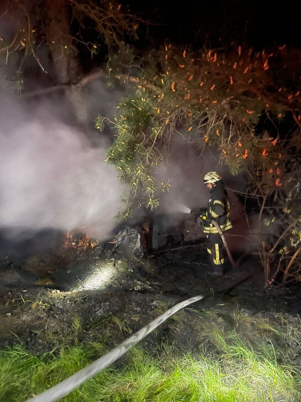 На Київщині легковик на швидкості в’їхав у дерево та загорівся: водій загинув. Фото