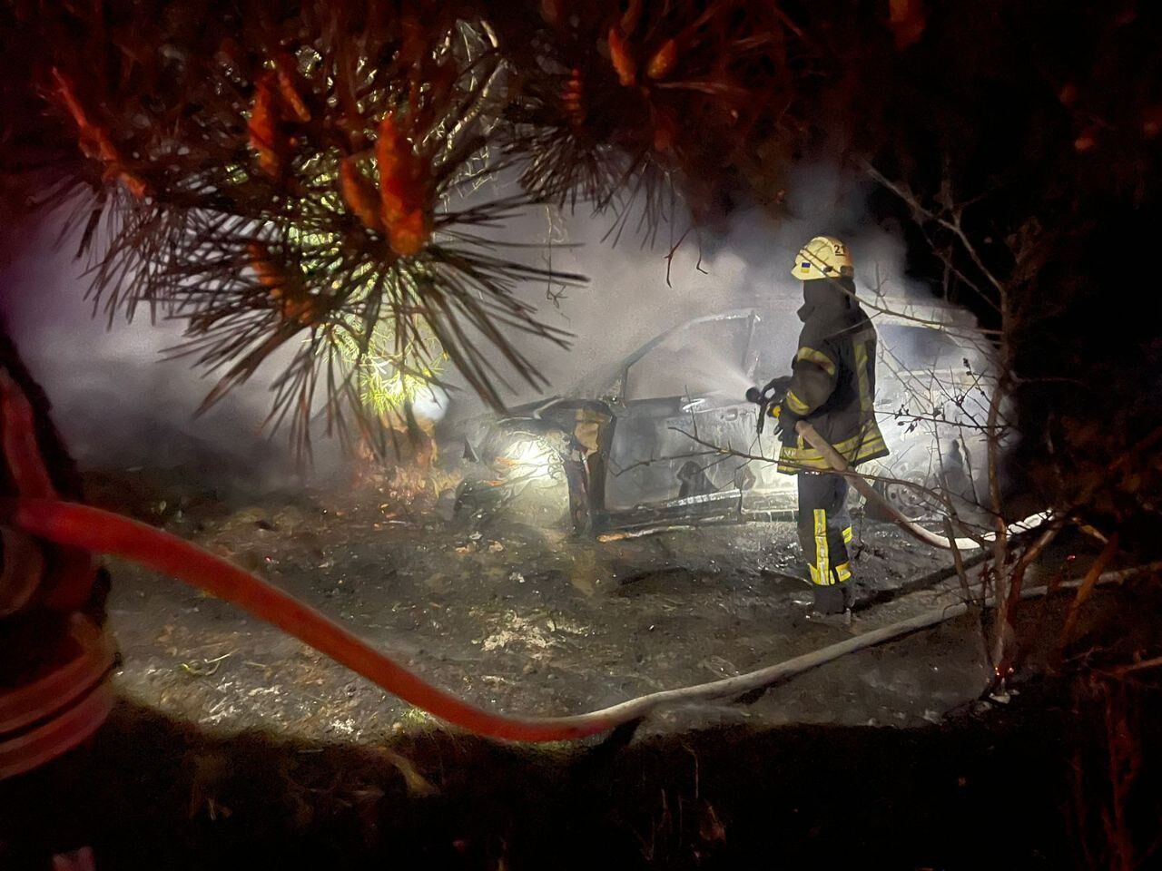 На Київщині легковик на швидкості в’їхав у дерево та загорівся: водій загинув. Фото