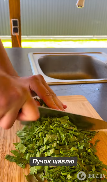 Наваристый зеленый борщ со щавелем: на каком мясе приготовить