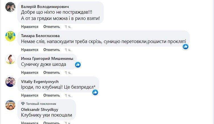 Землянику жаль: украинцы с юмором отреагировали на ракетный обстрел РФ по Киеву 9 мая. Фото