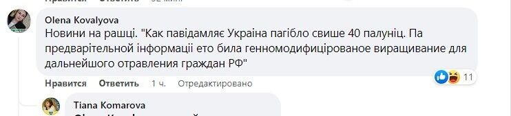 Суничку шкода: українці з гумором відреагували на ракетний обстріл РФ по Києву 9 травня. Фото