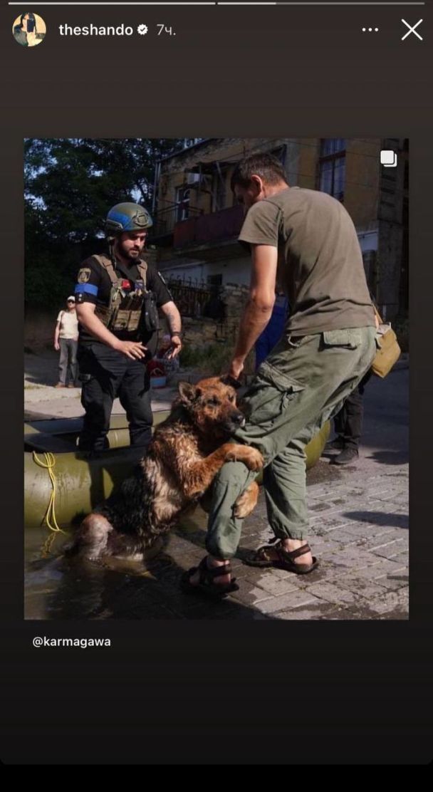 Хвора на рак зірка "Всі жінки відьми" розчулила фанів знімком пса з затопленої Херсонщини