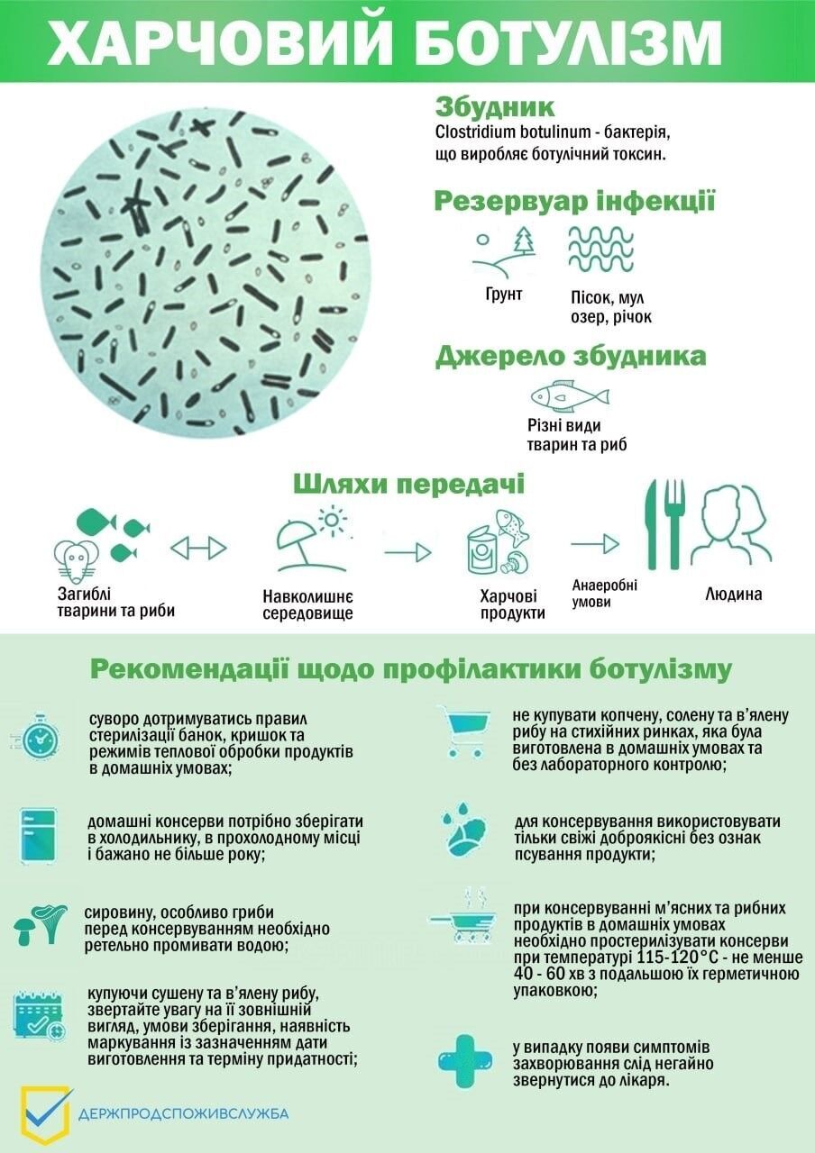 Не употребляйте рыбу неизвестного происхождения и не трогайте погибших животных – жителей пострадавших от затопления регионов предупредили об опасности