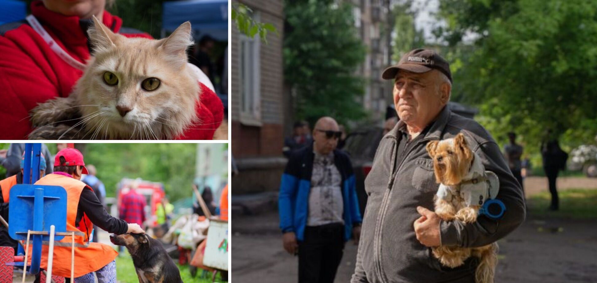 Окупанти вдарили по Кривому Рогу й поцілили в багатоповерхівку: внаслідок атаки 11 людей загинули, десятки поранені. Фото й відео