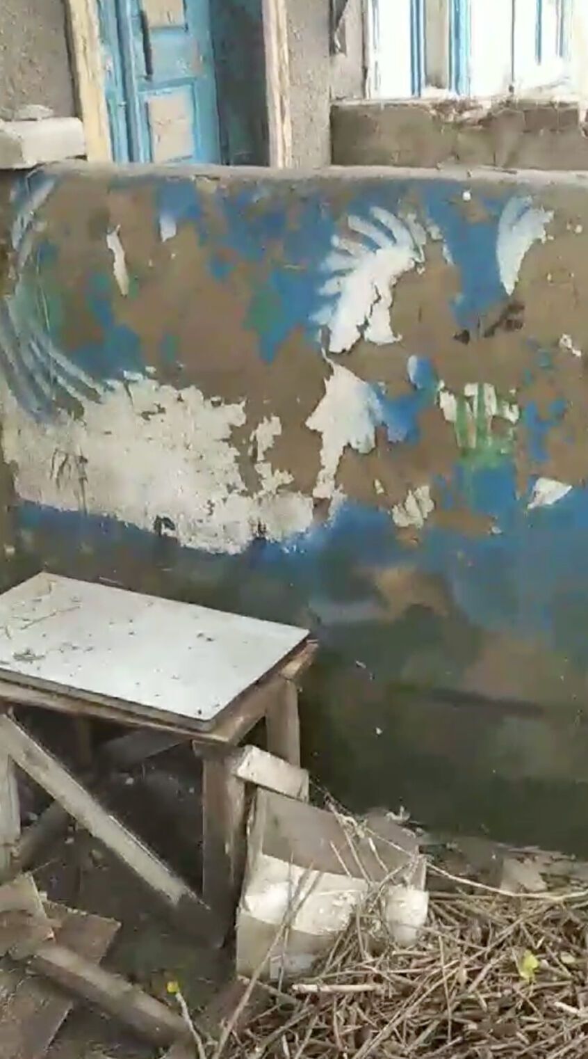В оккупированных Олешках из дома-музея Полины Райко ушла вода: стены обрушились, уцелело всего до 40% фресок. Фото и видео