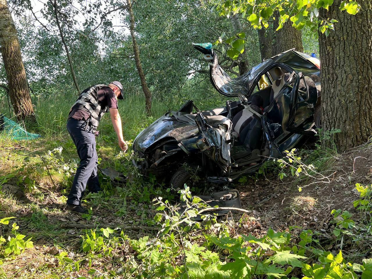 Жуткое ДТП на Киевщине: авто въехало в дерево, водитель погибла, четверо детей травмированы. Фото