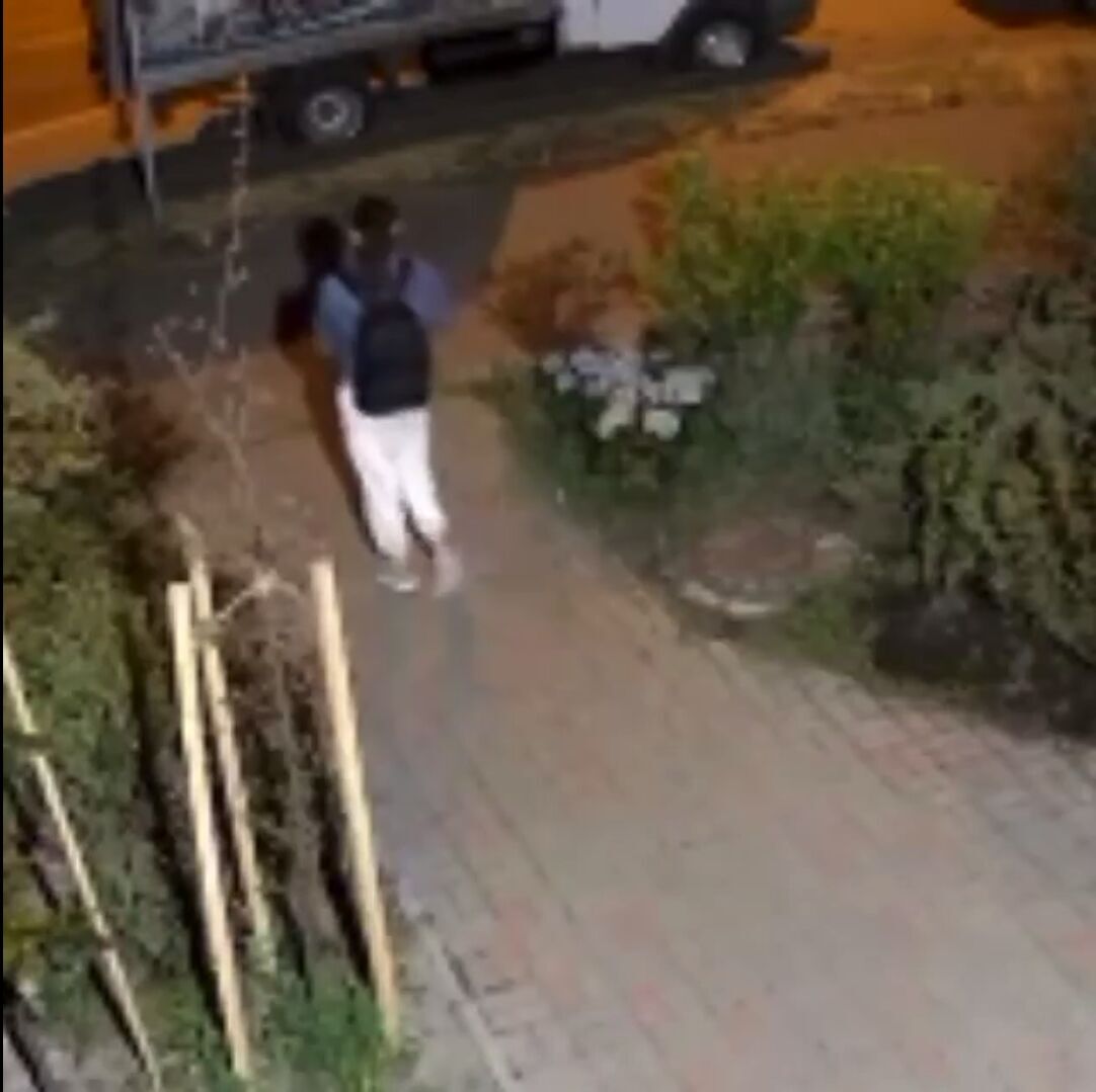 В Киеве камера зафиксировала женщину, которая ночью выкопала цветы возле книжного магазина. Видео