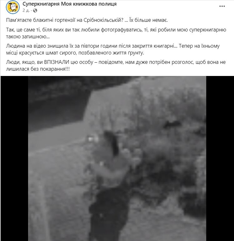 В Киеве камера зафиксировала женщину, которая ночью выкопала цветы возле книжного магазина. Видео