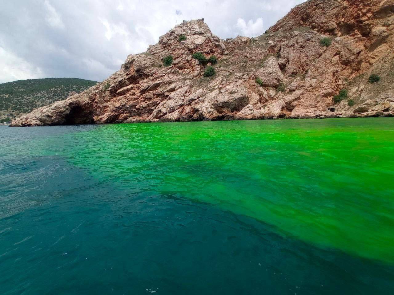 В окупованому Севастополі вода стала кислотно-зеленого кольору: "влада" видала безглузде пояснення. Фото