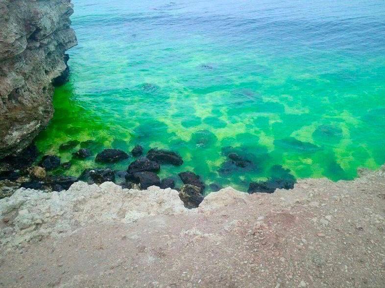 В оккупированном Севастополе вода стала кислотно-зеленого цвета: "власть" выдала бессмысленное объяснение. Фото