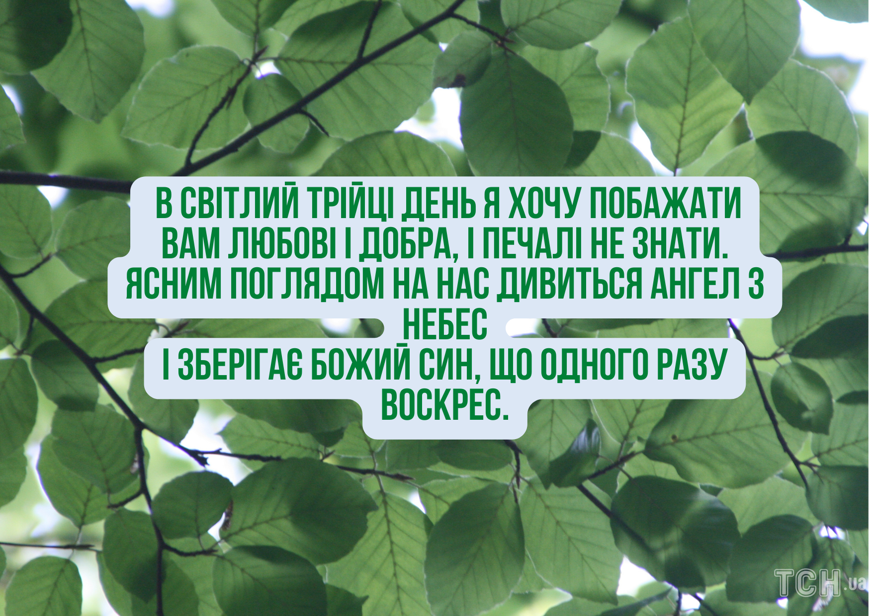 З Трійцею: щирі привітання для рідних і близьких. Картинки