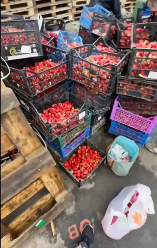 Викинули десятки ящиків полуниці