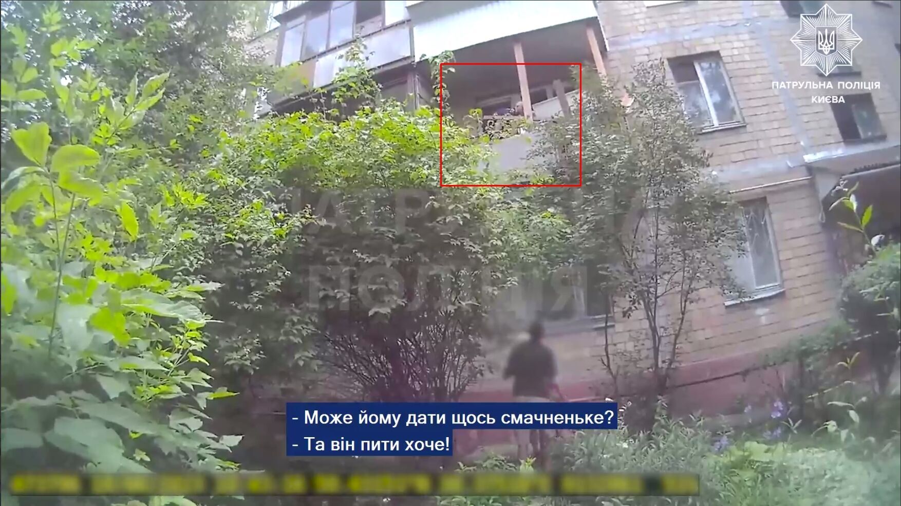 У Києві патрульні врятували песика, якого власник три доби тримав на балконі без їжі та води. Відео