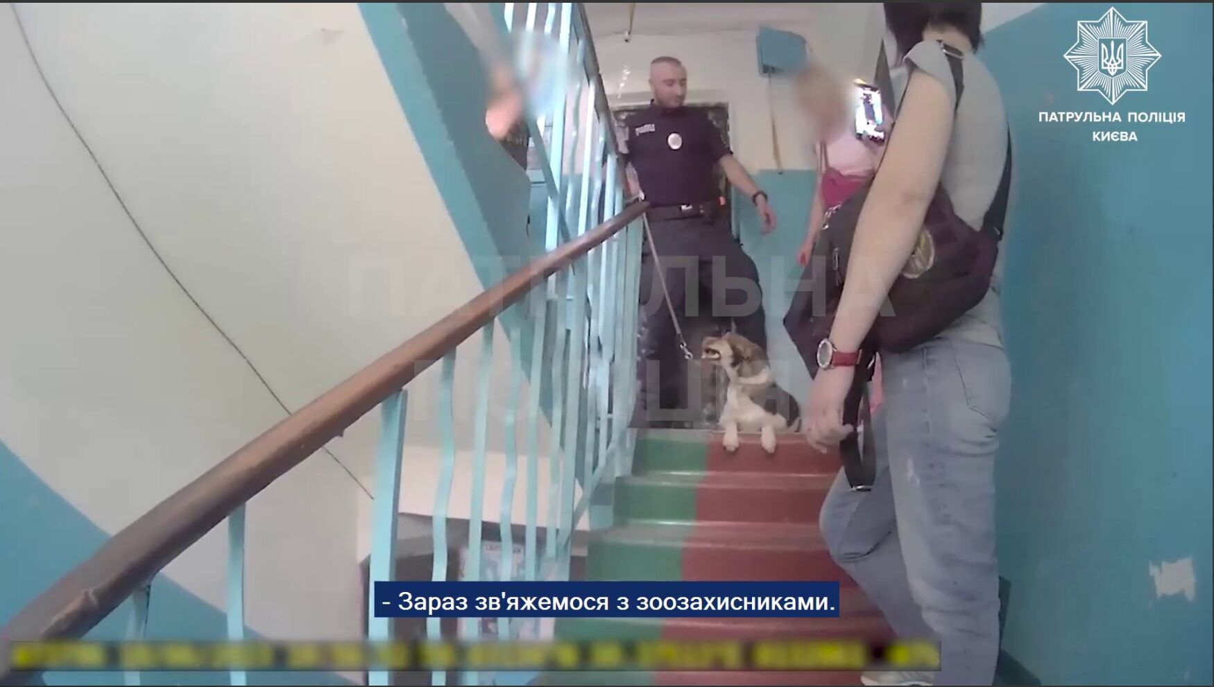У Києві патрульні врятували песика, якого власник три доби тримав на балконі без їжі та води. Відео
