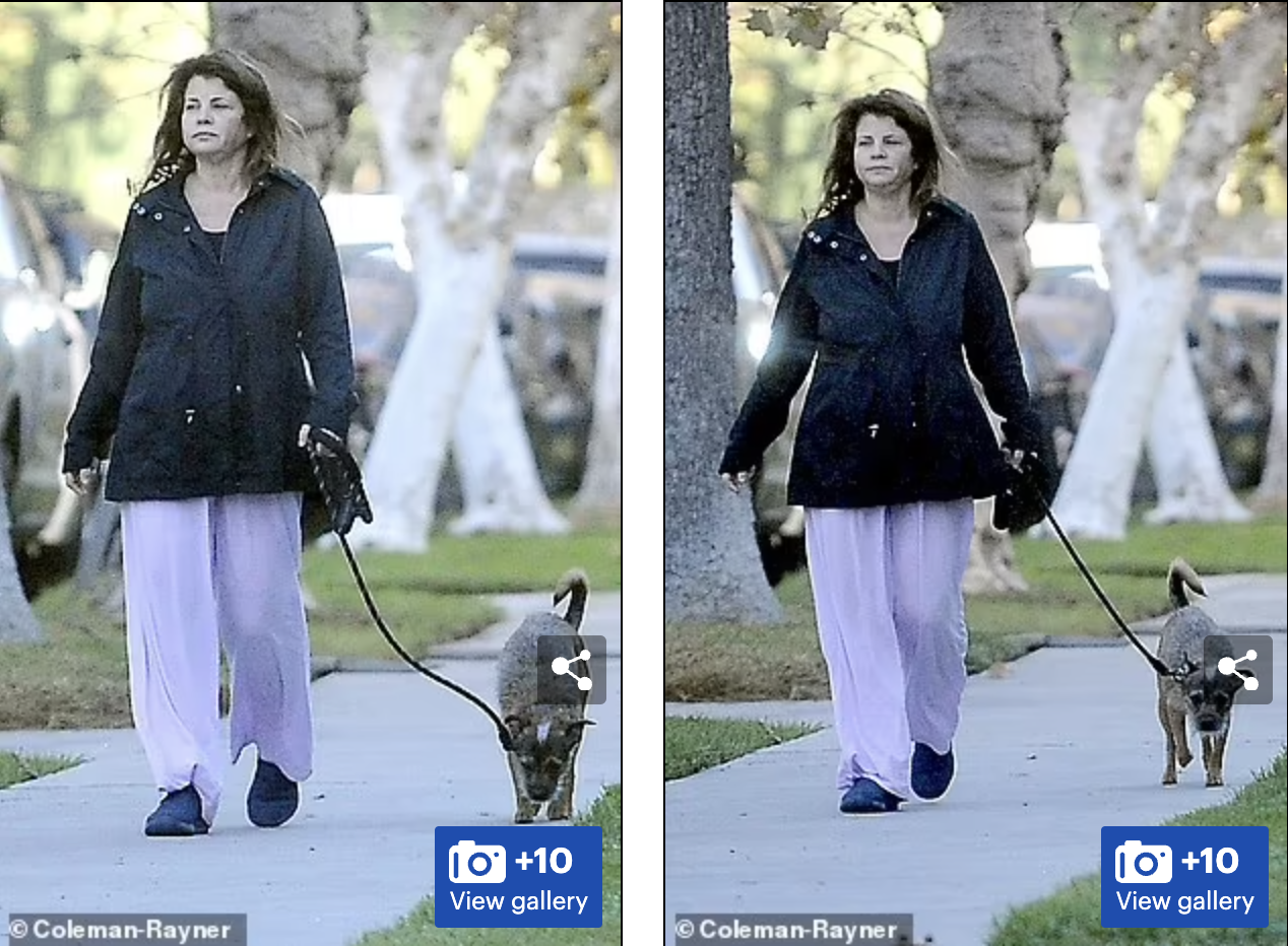 Ее больше не узнать: как изменилась красотка из "Спасателей Малибу", которая подсела на наркотики. Фото до и после