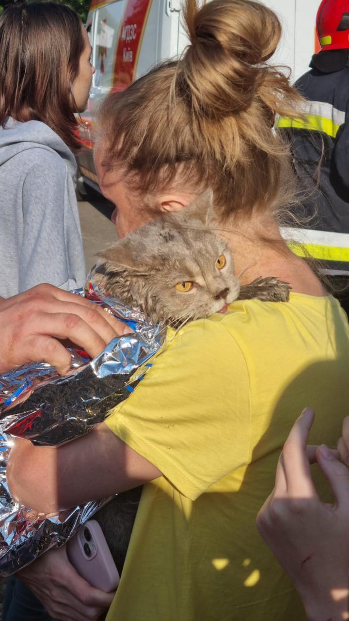 Кожне життя важливе: у Києві в будинку, де стався вибух, врятували котика. Фото