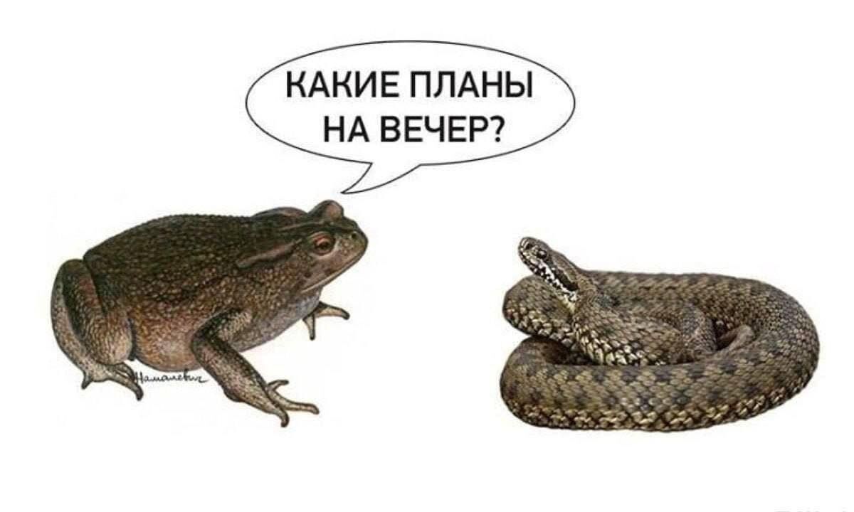 Россия на пороге гражданской войны? Как россияне отреагировали на инцидент между "вагнеровцами" и армией РФ. Фото