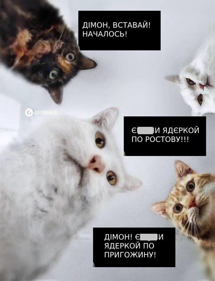 "Лебединое озеро" и изменение целей "СВО": сеть взорвалась мемами из-за "битвы" Пригожина и Шойгу