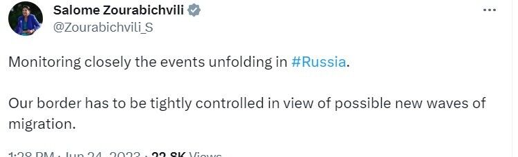 Саломе Зурабішвілі зробила заяву