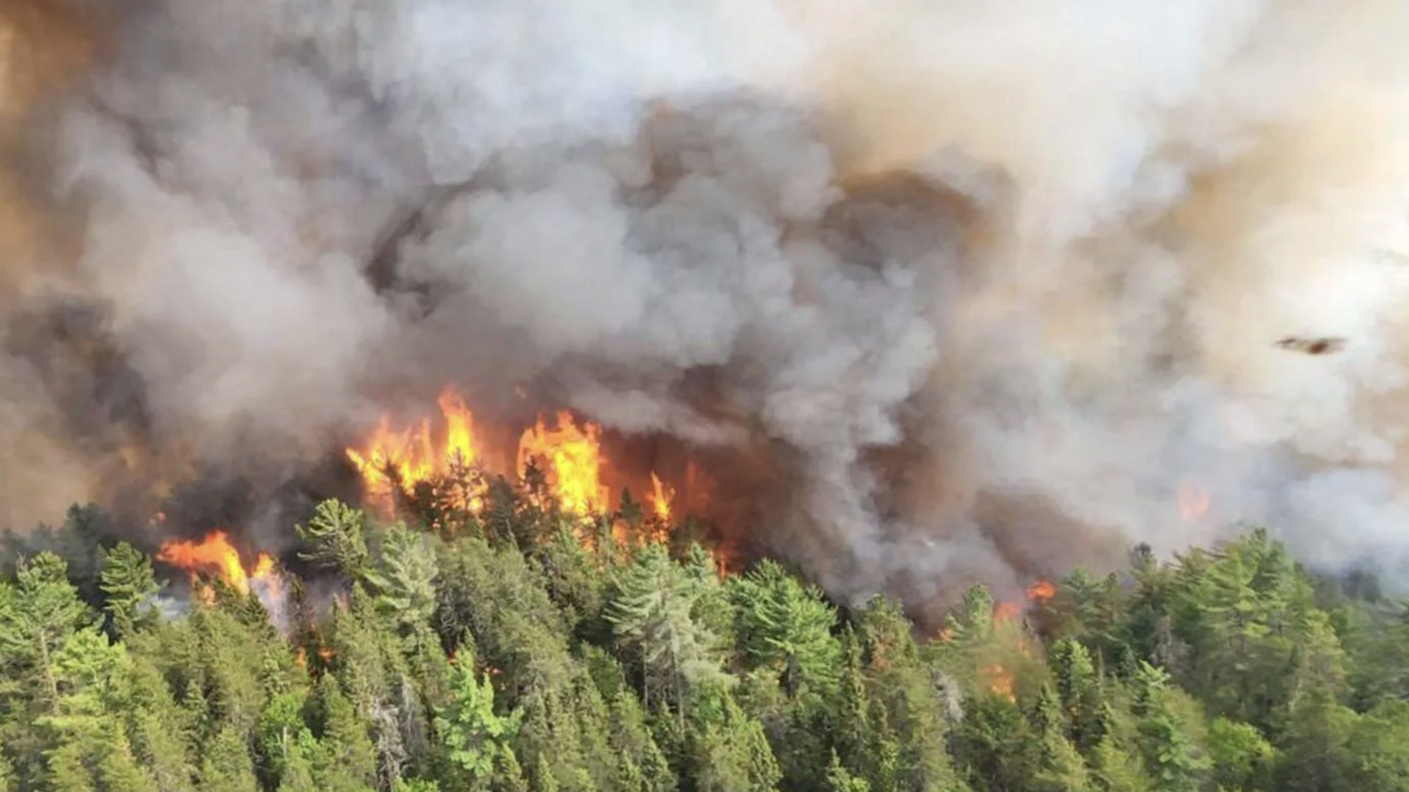 В Канаде не утихают масштабные лесные пожары: для борьбы с огнем не хватает спасателей