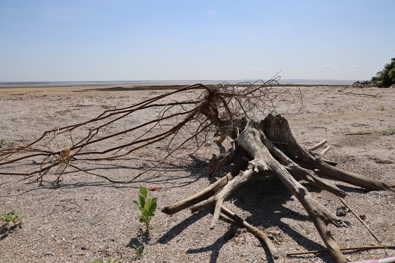Высохло, как в Африке: в сети показали, как сейчас выглядит Каховское водохранилище. Фото и видео