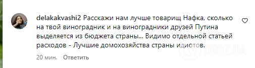 "Який жах! Вас змусили зробити це?" Дружина Пєскова виклала відео зі своєї дачі, ставши посміховиськом у мережі