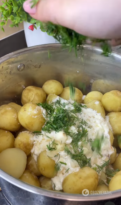 Як смачно приготувати молоду картоплю: із вершковим соусом та зеленню 