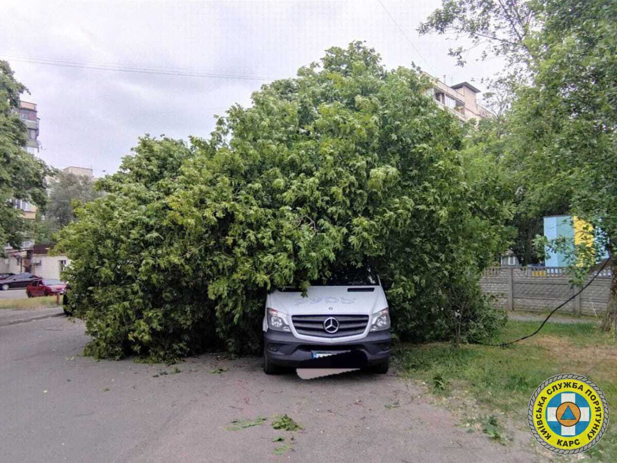 Сломанные деревья и поврежденные авто: спасатели показали последствия урагана в Киеве 2 июня. Фото